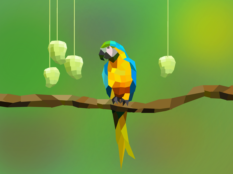 Macaw